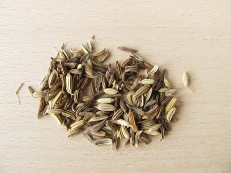 Fennel,Foeniculi fructus