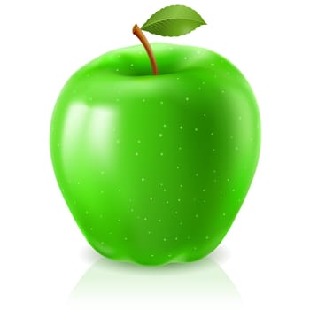 Green apple. Illustration on white background for design
