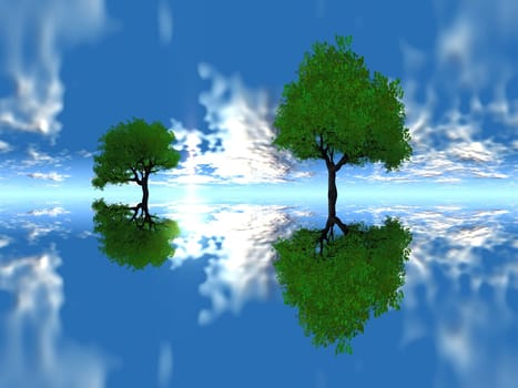 trees and sky