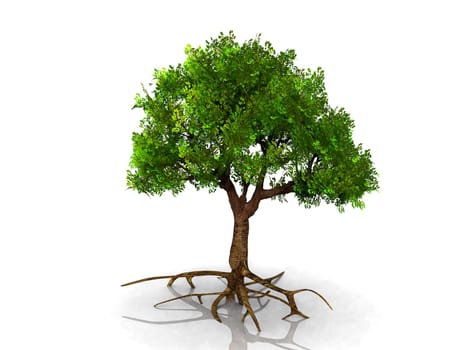 the green tree