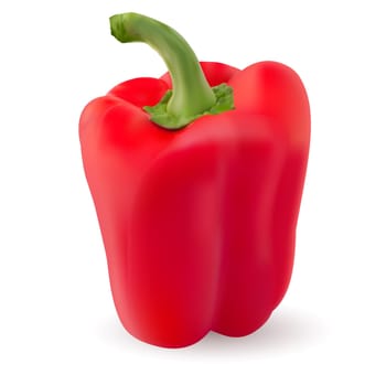 One Red pepper. Photo-realistic. Illustration on white background
