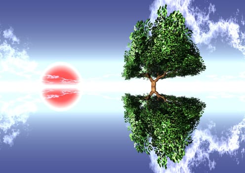 tree and red sun