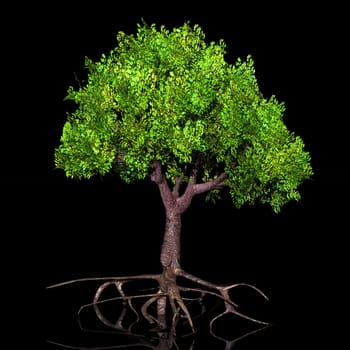 the green tree
