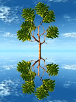 the oak in the water