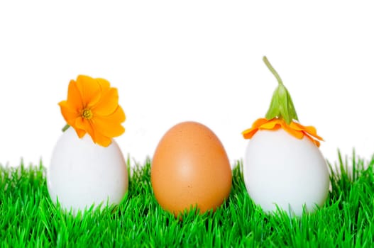 Easter Spring Meadow Eggs