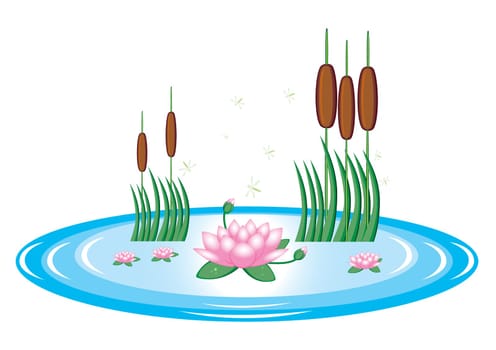 Pond with lily and water reeds. Illustration on white background