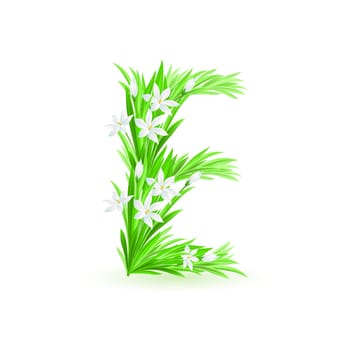 One letter of spring flowers alphabet - E. Illustration on white background