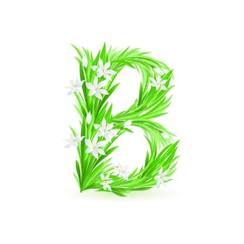 One letter of spring flowers alphabet - B. Illustration on white background