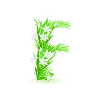 One letter of spring flowers alphabet - F. Illustration on white background