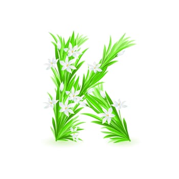 One letter of spring flowers alphabet - K. Illustration on white background