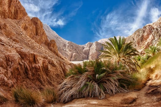 Wadi Qnai,my favorite place in Sinai