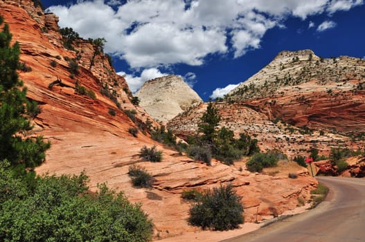 Lonely road in Zion National Park,Utah,United States