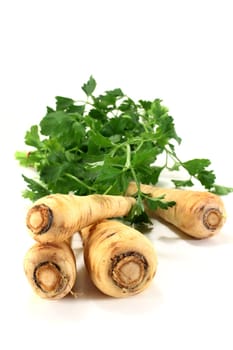 Parsnips and parsley against a white background