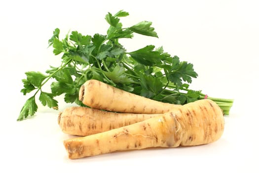 Parsnips and parsley against a white background