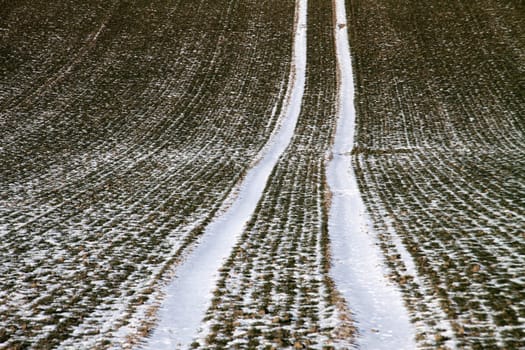 Snow tracks in green field