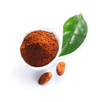 Cacao powder, leaf and cacao beans isolated on white
