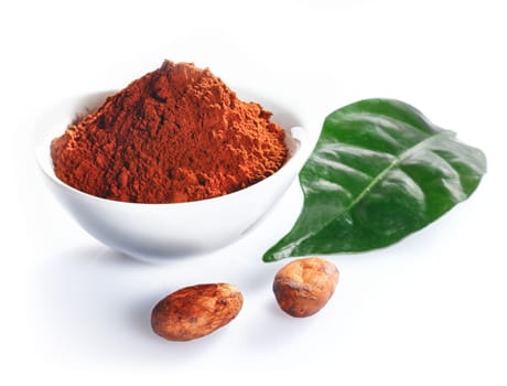 Cacao beans, leaf and cacao powder isolated on white