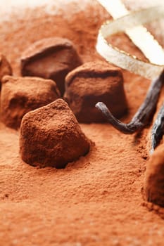 Chocolate pieces of irregular sizes covered in cocoa powder