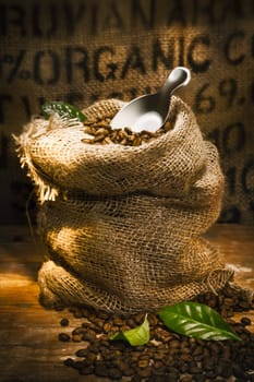 Small hessian sack filled with fresh roasted coffee beans topped by a small shovel with the word Organic highlighted on hessian in the background, conceptual of organically grown coffee