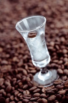 Clear drink in a tall glass with coffee bean in the mix, surrounded with unground beans