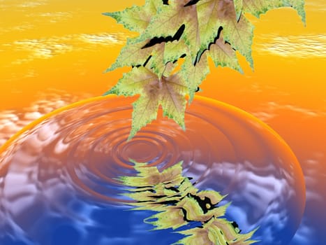 the leaf and the water