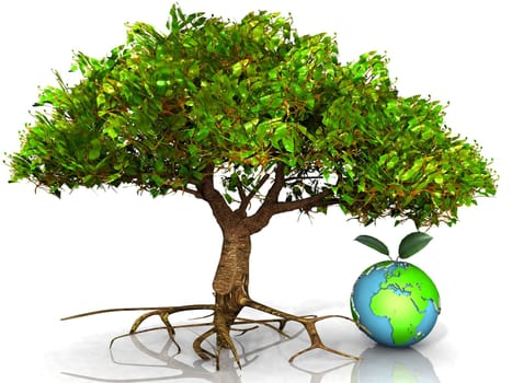 tree and earth