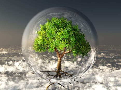 green tree in a transparent bubble