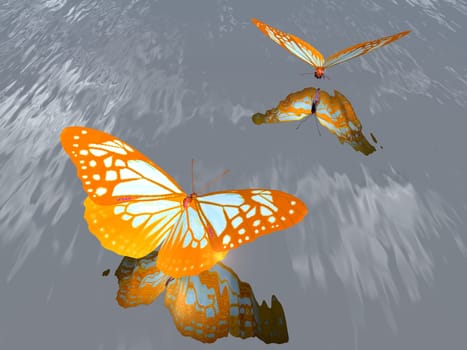 the beautiful butterfly with wings