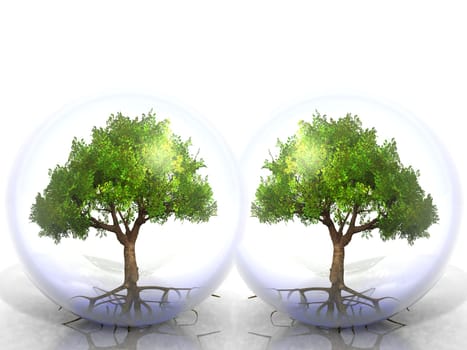 green tree in a transparent bubble