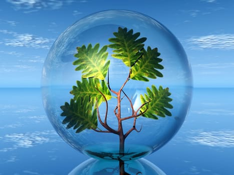 green tree in a transparent bubble