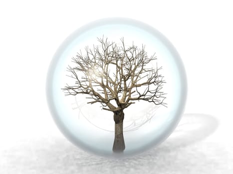 dead tree in a bubble