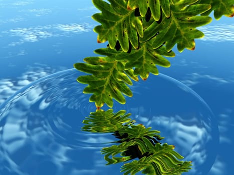 leaf and water