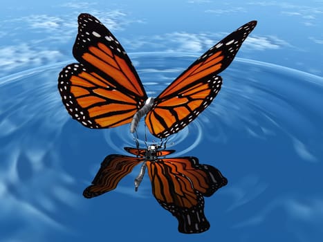 the beautiful butterfly with wings