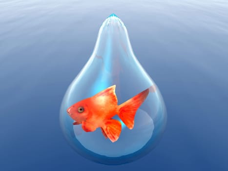gold fish in a drop