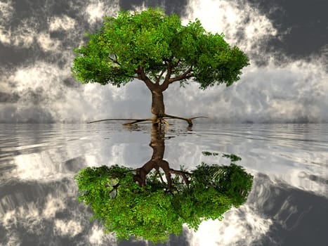 the green tree and the water