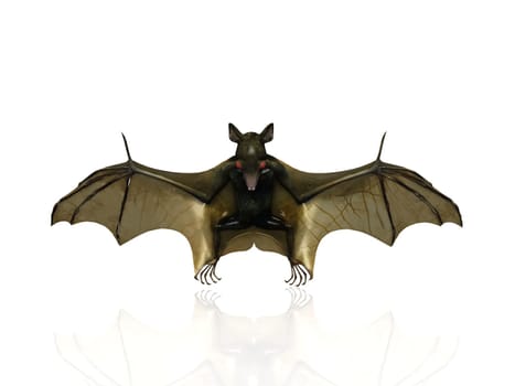 the bat on a white background