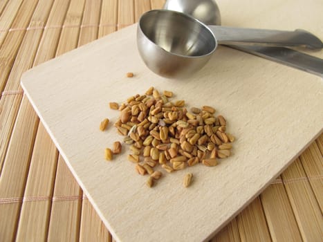 Fenugreek seeds,Foenugraeci semen