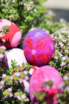 Row of Easter Eggs with Daisy on Fresh Green Grass