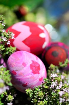 Row of Easter Eggs with Daisy on Fresh Green Grass