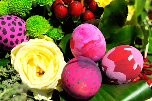 Row of Easter Eggs with Daisy on Fresh Green Grass