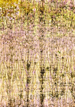 Abstract art backgrounds. Grunge textures and backgrounds with space