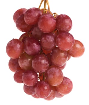 Red grape isolated on white