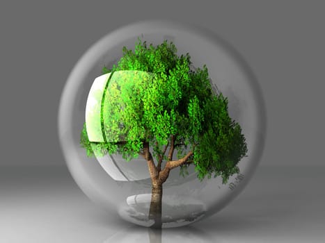 a green tree in a transparent bubble