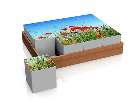 many cubes with red poppies