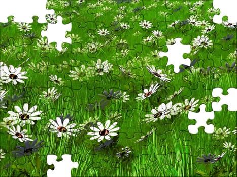 Puzzle of a flower meadow and grass