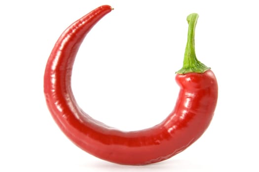single red chili pepper on white background