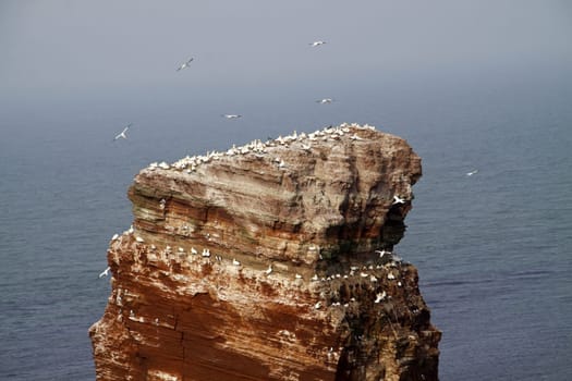 The Lange Anna (Helgoland)