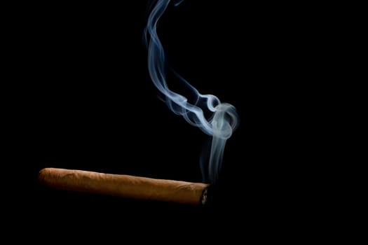 Cigars