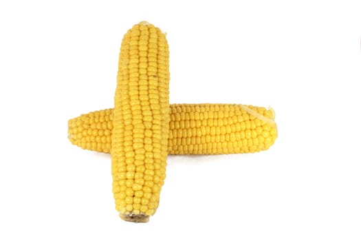 Cooked corn cob sweetcorn isolated on white