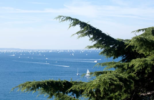 Barcolana 2010, The Trieste regatta  - Italy